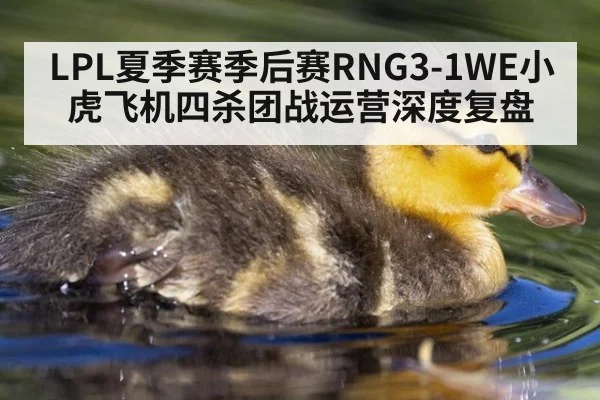 LPL夏季赛季后赛RNG3-1WE小虎飞机四杀团战运营深度复盘